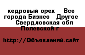 кедровый орех  - Все города Бизнес » Другое   . Свердловская обл.,Полевской г.